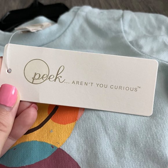 NWT Peek Essentials Graphic Sweatshirt & Leggings Set Light Blue 3-6M - Picture 2 of 10